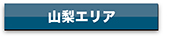 agency_yamanashi_btn